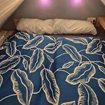 Tatil Evi Haus Schmucker *