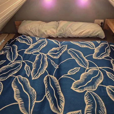 Semesterbostad Haus Schmucker *